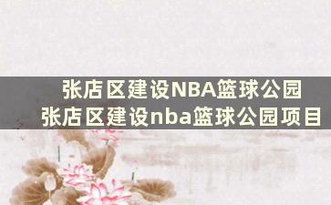 张店区建设NBA篮球公园 张店区建设nba篮球公园项目